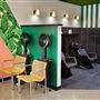 Birds Barbershop - Domain