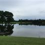 The Back Forty Ranch