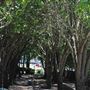Heritage Place & Park