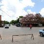 Gruene