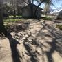 Huerta Willow Street Houses