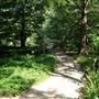 Clark Gardens Botanical Park