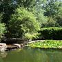 Clark Gardens Botanical Park