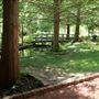 Clark Gardens Botanical Park