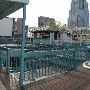 Maggie Mae's