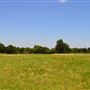 Cedar Isle Ranch