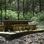 Bonham State Park