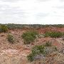 Ranger Creek Ranch