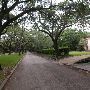 Broadacres Neighborhood - Between North and South Blvd