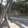 Walnut Creek Metropolitan Park