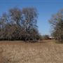 Rural Farm - Two House Property
