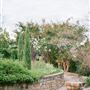 Clark Gardens Botanical Park