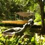 UMLAUF Sculpture Garden and Museum