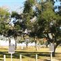 Fort Anahuac Park