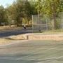 Shipe Park