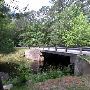 Martin Dies, Jr. State Park