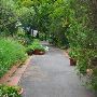 Weston Gardens