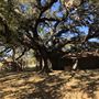 Hidden Springs Ranch