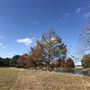 Hidden Springs Ranch
