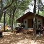 Lake Bastrop - North Shore Park