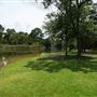 Lake Bastrop
