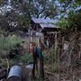 Rural Farm - Two House Property