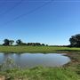 Bucking Beauty Farm