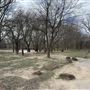 Bastrop County Nature Park