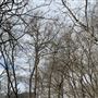 Bastrop County Nature Park