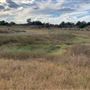 Rose Ranch
