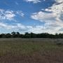 Rose Ranch