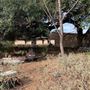 Rose Ranch