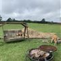 Valkyrie Ranch