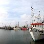 Port of Brownsville - Shrimping Boats