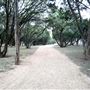 North Oaks Neighborhood Park