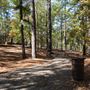 Synergy Park