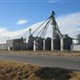 Top Tier Grain & Feed