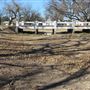 Miles City Park