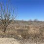 Property at 721 Rohde Rd