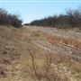 Miles Railroad Tracks