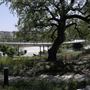 Waterloo Park