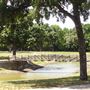 Good Link Trail