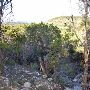 Wimberley Zipline Adventures