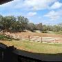 Hyatt Regency Lost Pines Resort and Spa - Renegade Equestrian Center