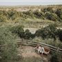 Stone Home Ranch