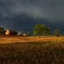 Steinhaus Ranch