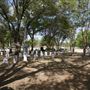 Oakwood Cemetery