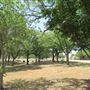 Miles City Park