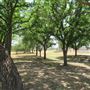 Miles City Park