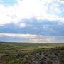 Blue Ranch